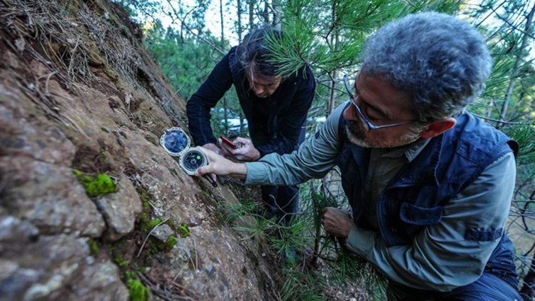 Sındırgı depremlerinin "ölü" fayların yeniden aktifleşmesiyle meydana geldiği belirlendi