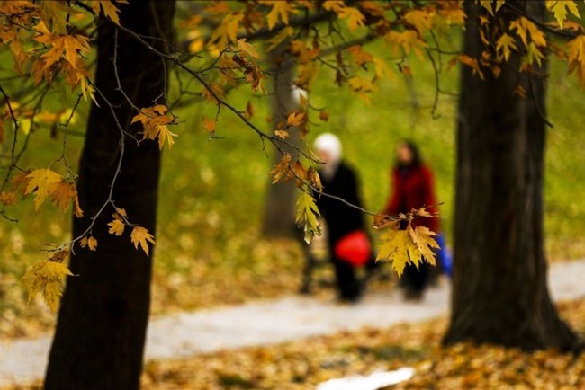 Bu hafta yurt genelinde sıcaklıklar mevsim normallerinin üzerinde seyredecek