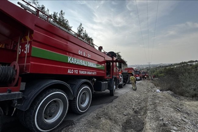 Adana'da çıkan orman yangını söndürüldü