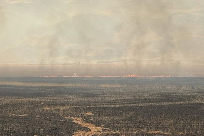 Hakkari'de Nehil Sazlığı'ndaki yangına havadan müdahale ediliyor