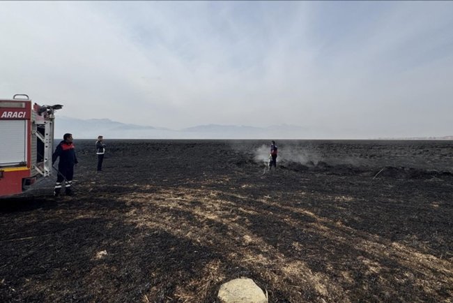 Hakkari'deki Nehil Sazlığı'nda 7 Kasım'da çıkan yangın söndürüldü