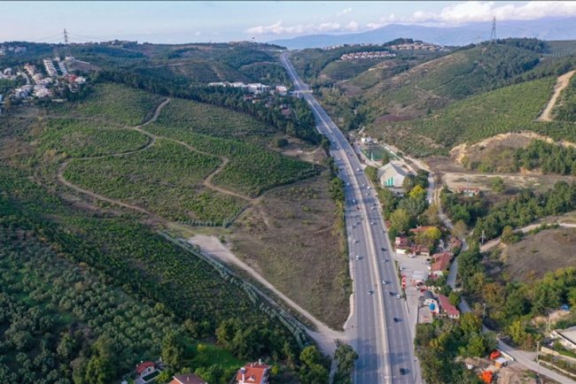 Bursa'da yıllar önce yanan ormanlık alanlar yeniden yeşeriyor