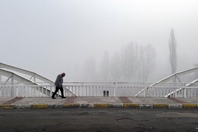 Ardahan'da kuşların gökyüzündeki dansı görüntülendi