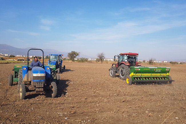 İslahiye Ovası'nda buğday ekimine başlandı