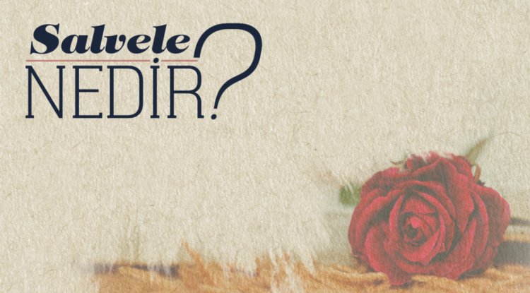 Salvele Nedir?
