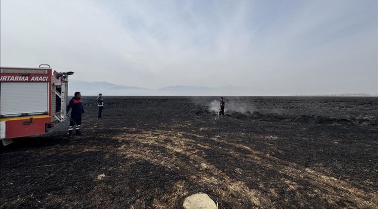 Hakkari'deki Nehil Sazlığı'nda 7 Kasım'da çıkan yangın söndürüldü