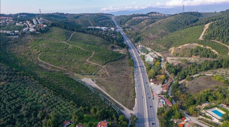 Bursa'da yıllar önce yanan ormanlık alanlar yeniden yeşeriyor