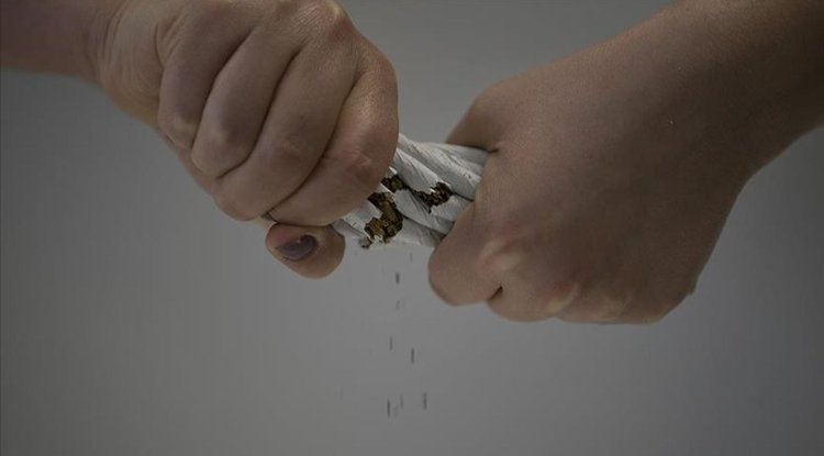 DSÖ, tütünün her yıl 7 milyon kişinin ölümüne neden olduğunu bildirdi