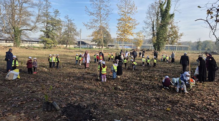 Gölyaka'da "Rahmet Peygamberi Hatıra Ormanı" oluşturuldu
