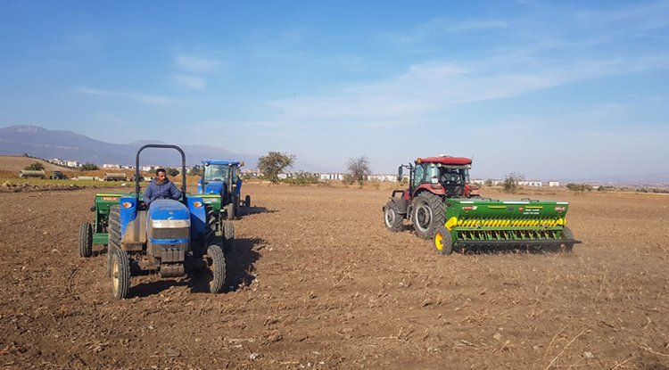 İslahiye Ovası'nda buğday ekimine başlandı