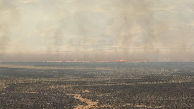 Hakkari'de Nehil Sazlığı'ndaki yangına havadan müdahale ediliyor