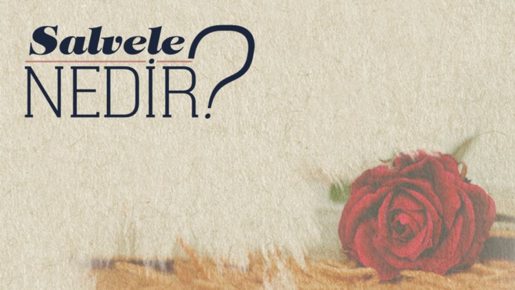 Salvele Nedir?