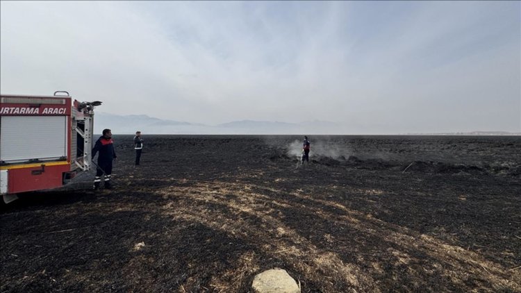 Hakkari'deki Nehil Sazlığı'nda 7 Kasım'da çıkan yangın söndürüldü