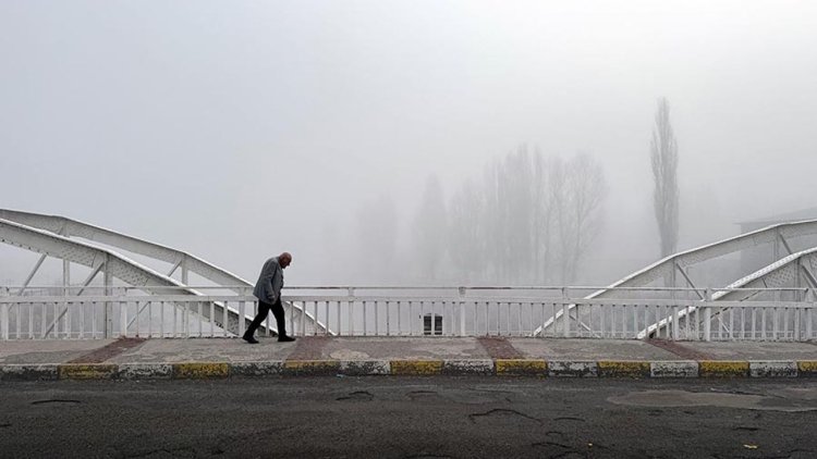 Ardahan'da kuşların gökyüzündeki dansı görüntülendi