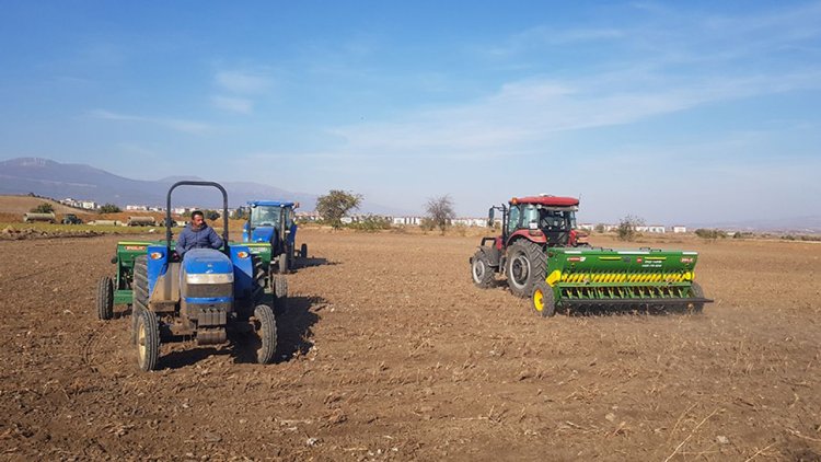 İslahiye Ovası'nda buğday ekimine başlandı