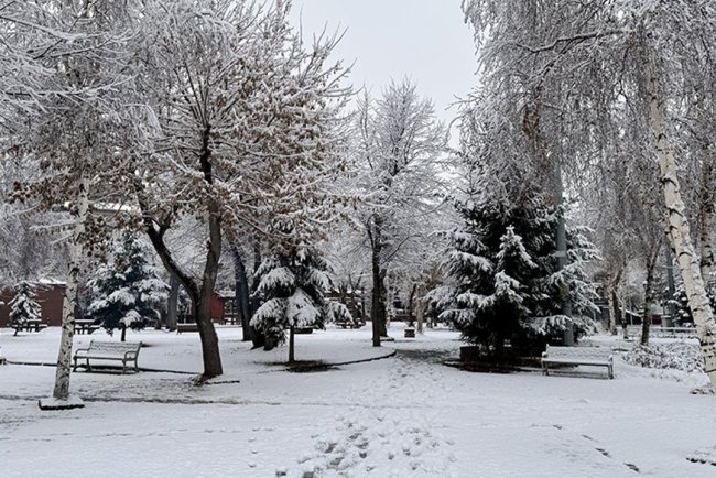 Erzurum ve çevresinde kar yağışı etkili oldu