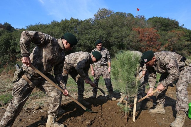Aydın'da şehitler için fidan dikildi