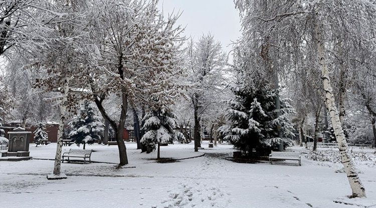 Erzurum ve çevresinde kar yağışı etkili oldu