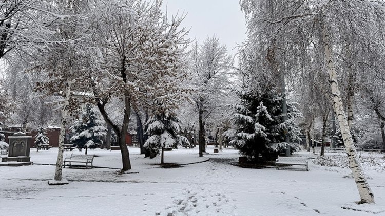 Erzurum ve çevresinde kar yağışı etkili oldu